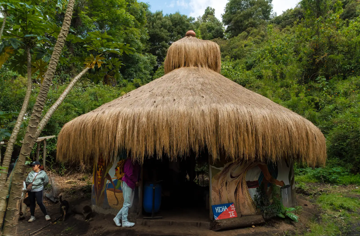 Imagen de apoyo de  Cápsula audio Suba Chune