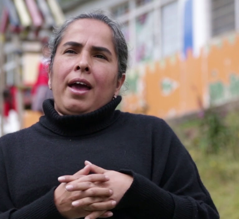 Imagen de apoyo de  Diana Janneth Pinto García. Colegio El Verjón.