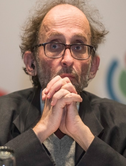 Imagen de apoyo de  "Yo, maestro", Daniel Goldin