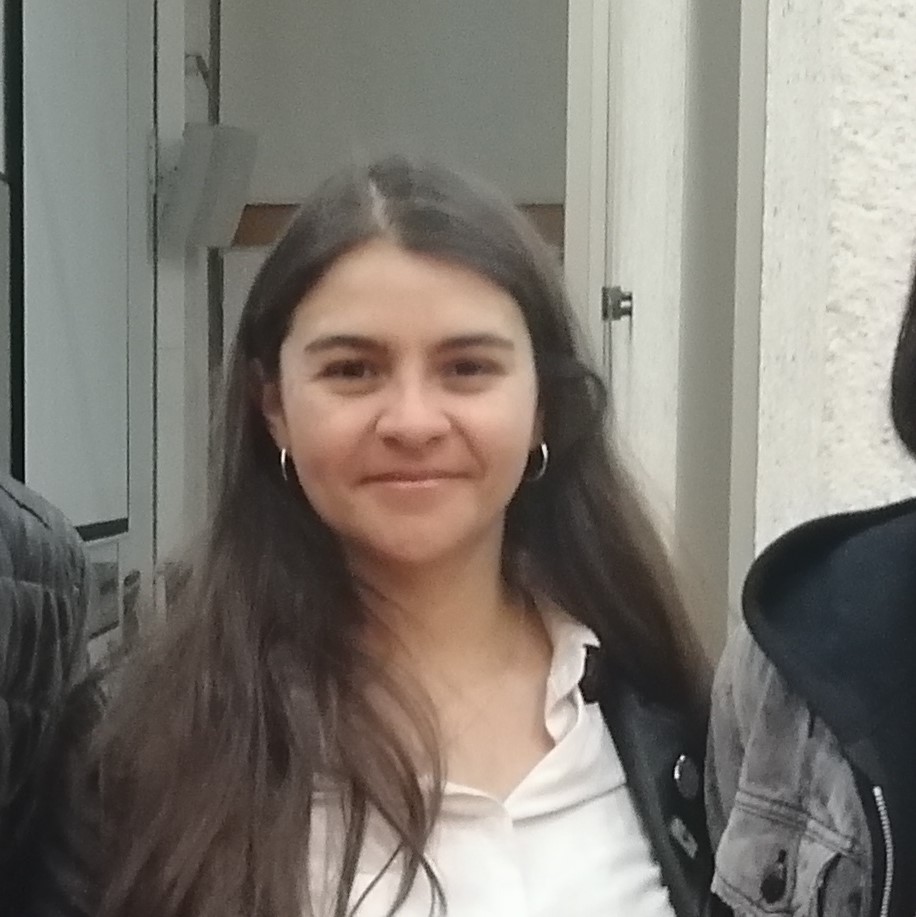 Imagen de apoyo de  Testimonio de Renata Rincón sobre sus primeros contactos con el rock en Bogotá a través de los medios, los barrios y los discos