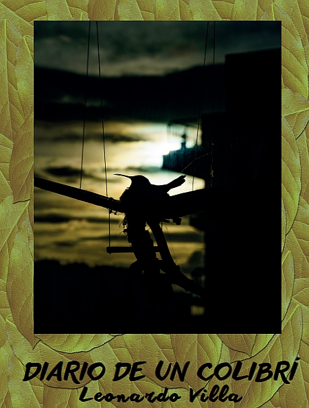 Imagen de apoyo de  Diario de un colibrí