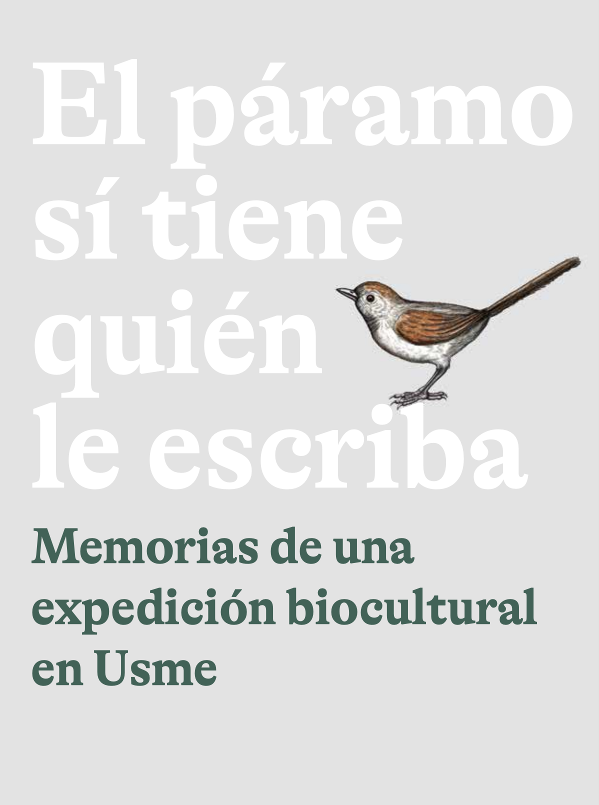 Imagen de apoyo de  El páramo sí tiene quién le escriba