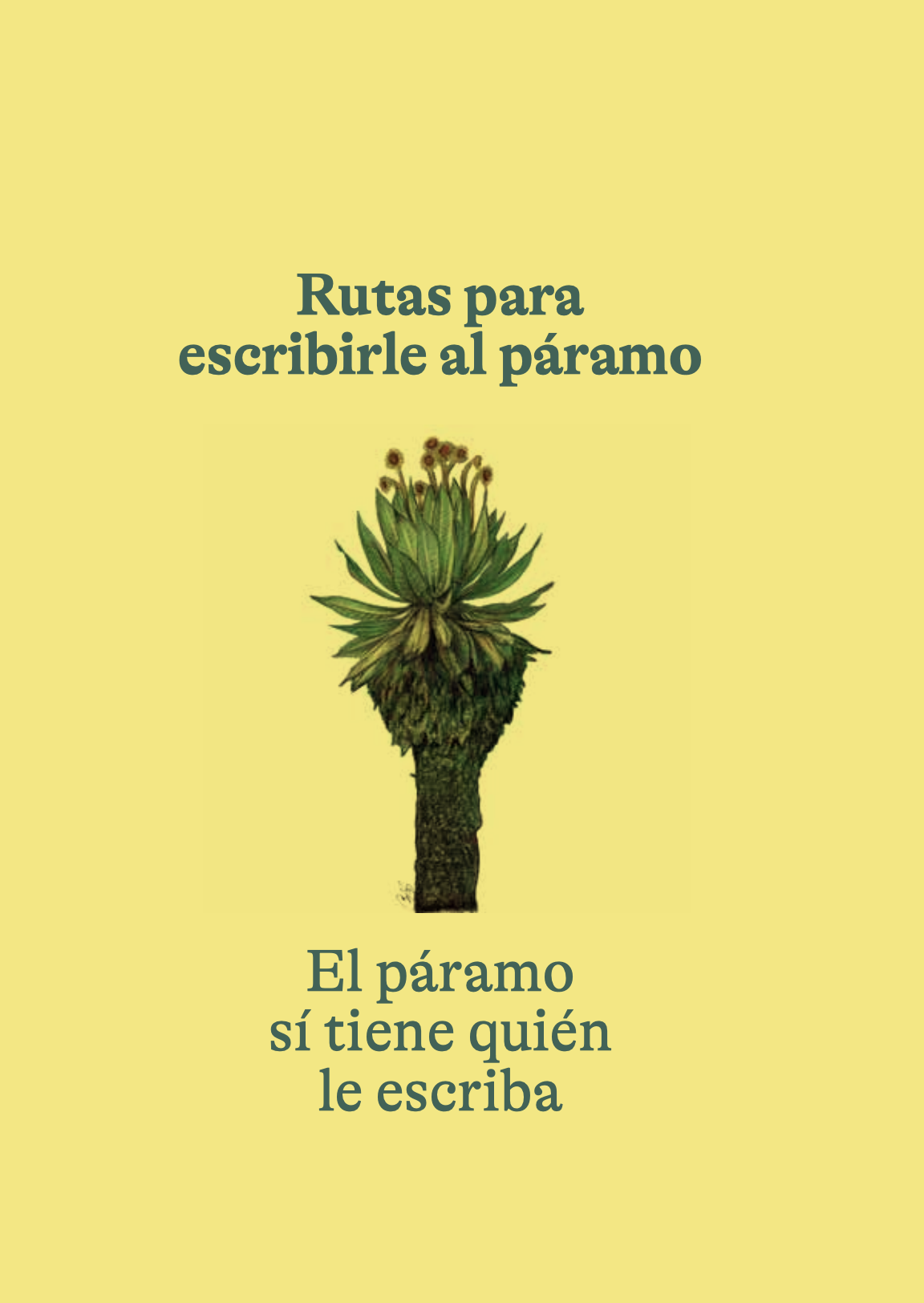 Imagen de apoyo de  Rutas para escribirle al páramo