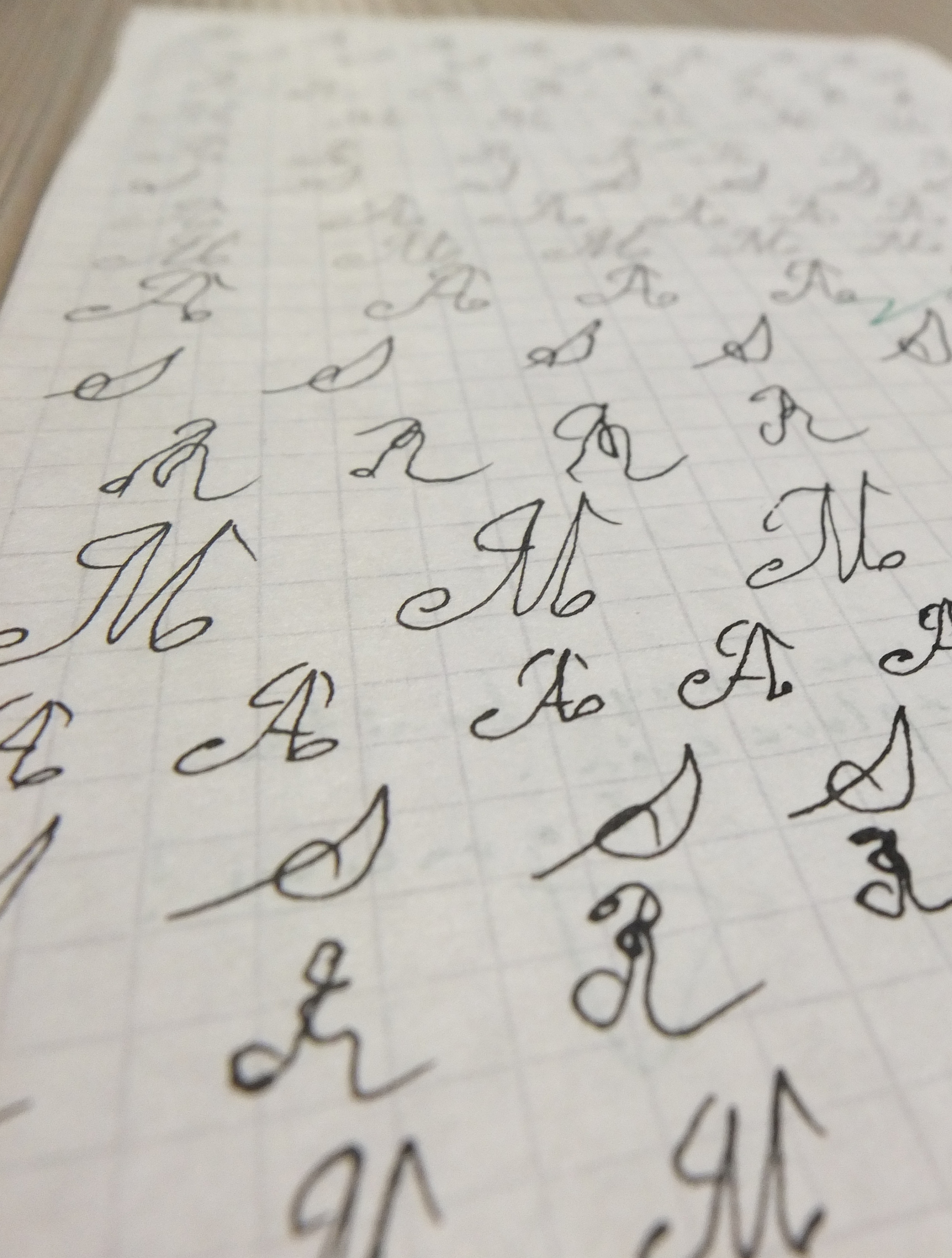 Imagen de apoyo de  Carta oral de Elizabeth Alvarado