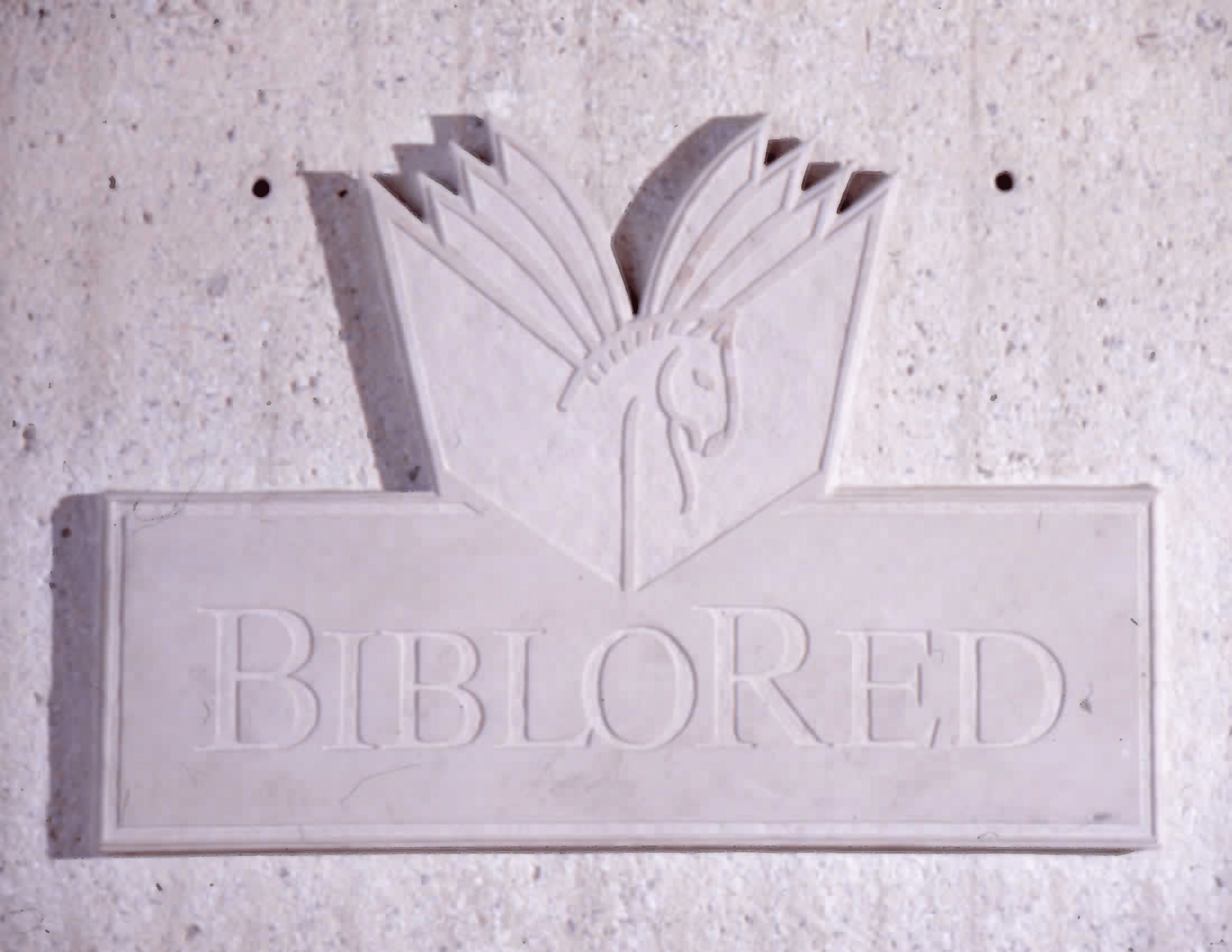 Imagen de apoyo de  Logo de la Red Distrital de Bibliotecas Públicas, BibloRed, en la Biblioteca Pública El Tintal Manuel Zapata Olivella