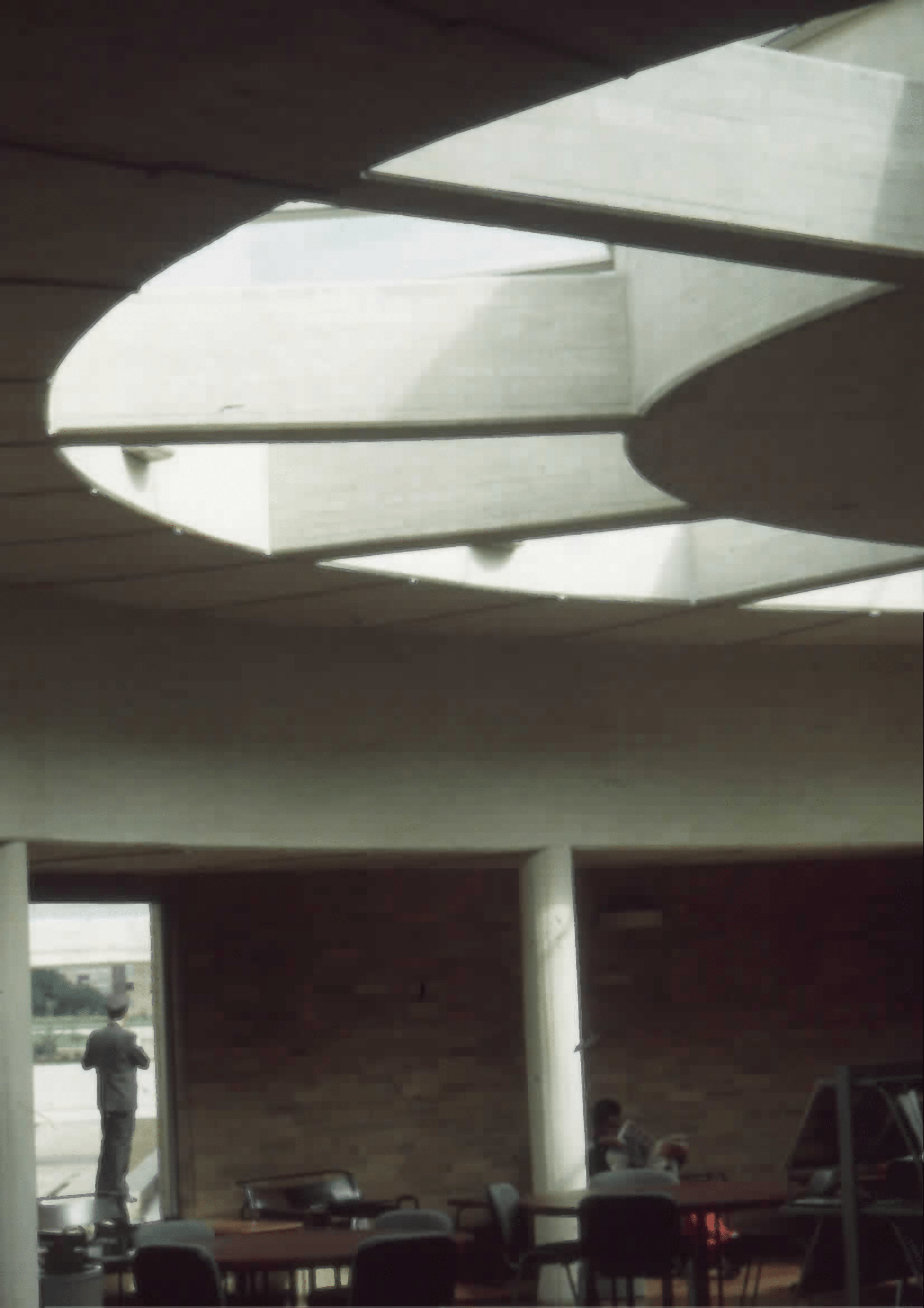 Imagen de apoyo de  Interior de la Biblioteca Pública Virgilio Barco con detalle de claraboyas. Fotografía 2