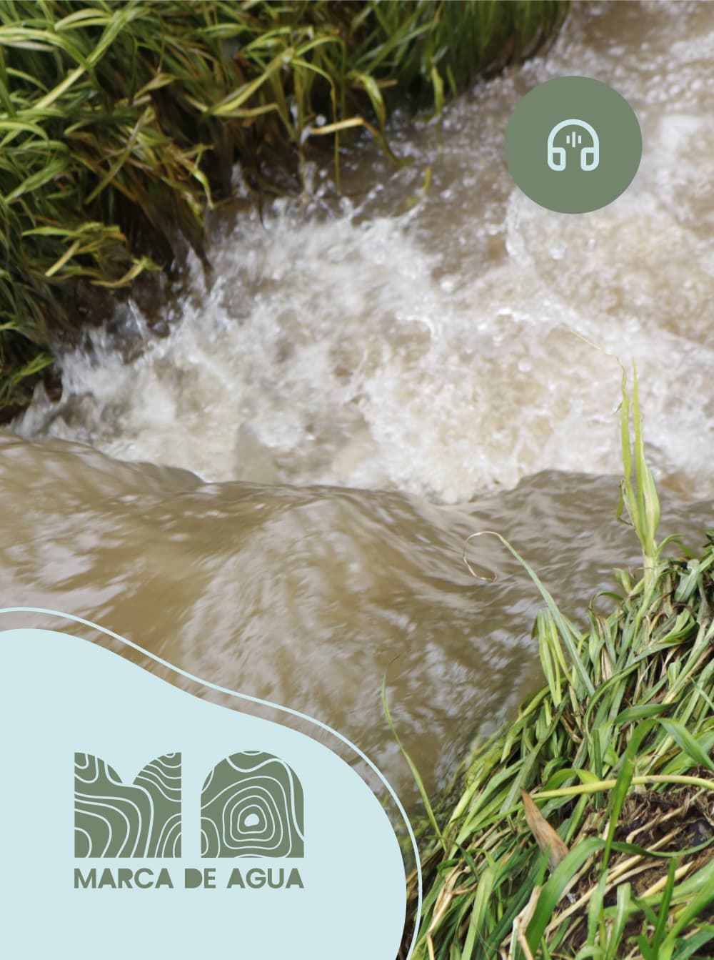 Imagen de apoyo de  El Meandro La Libélula Parte II