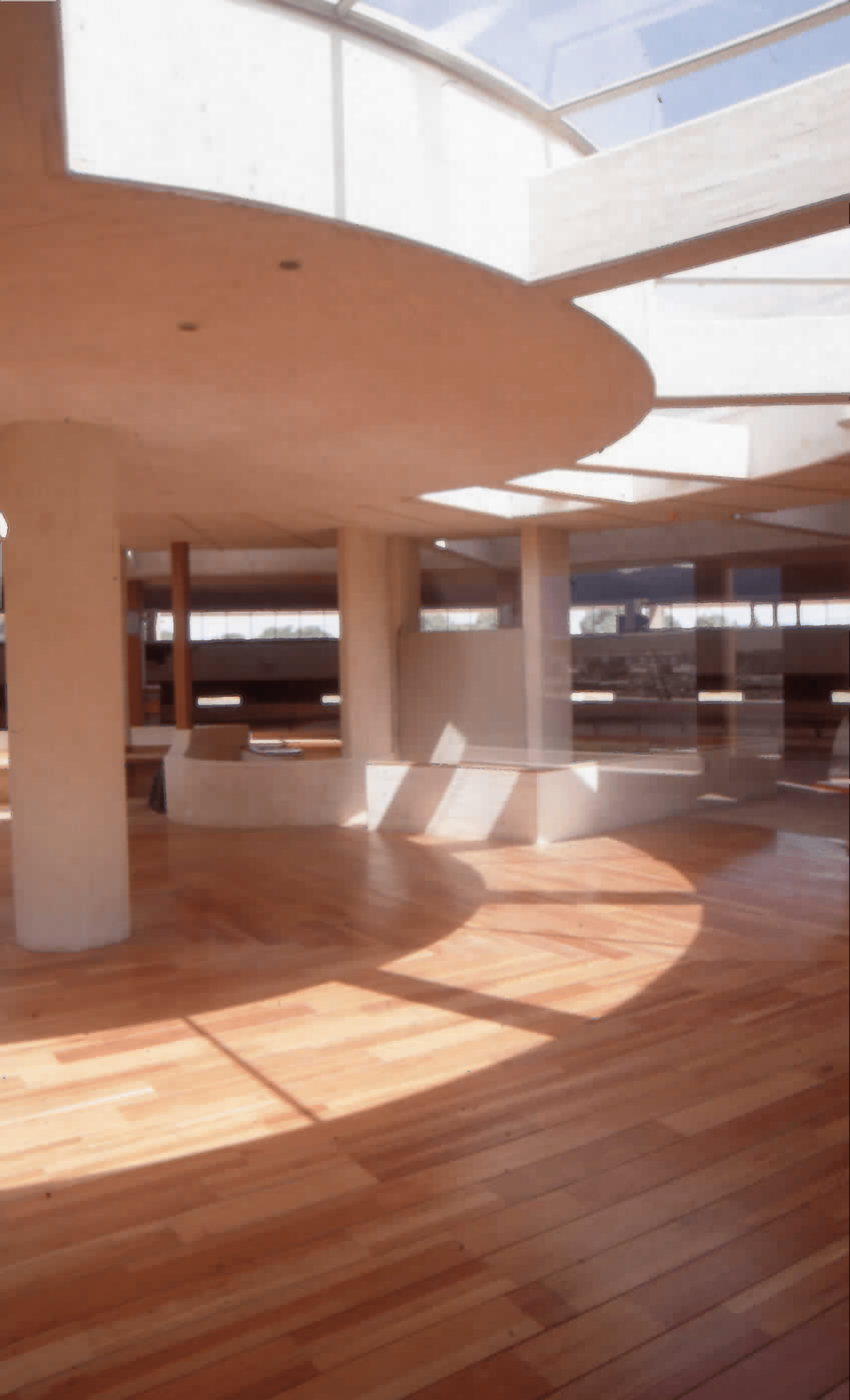 Imagen de apoyo de  Interior de la Biblioteca Pública Virgilio Barco con detalle de claraboyas