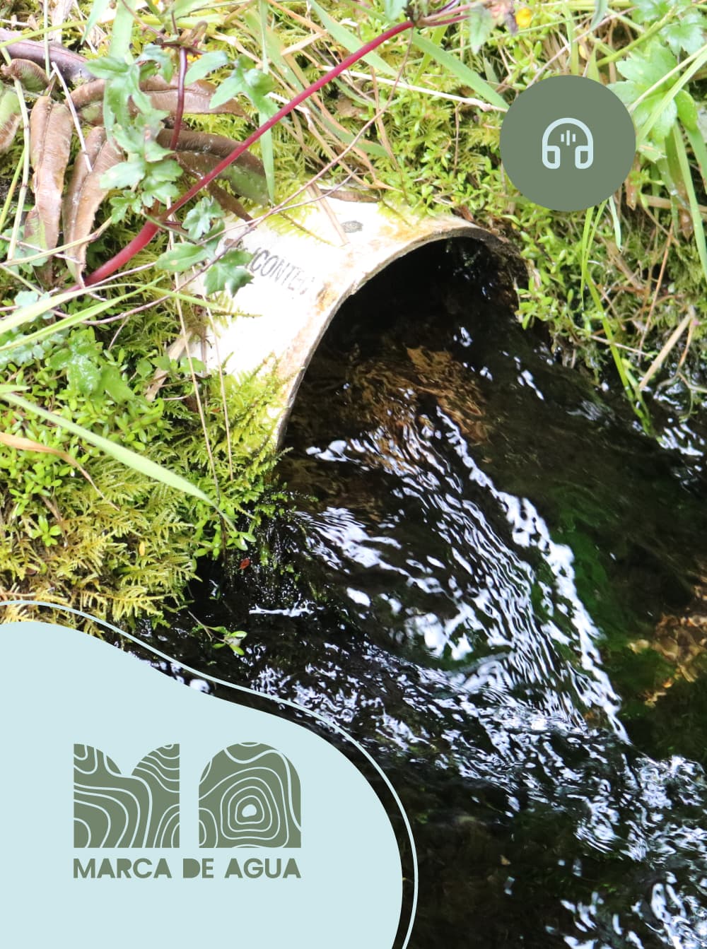 Imagen de apoyo de  El barrio Perdomo de Ciudad Bolívar y su relación con el agua