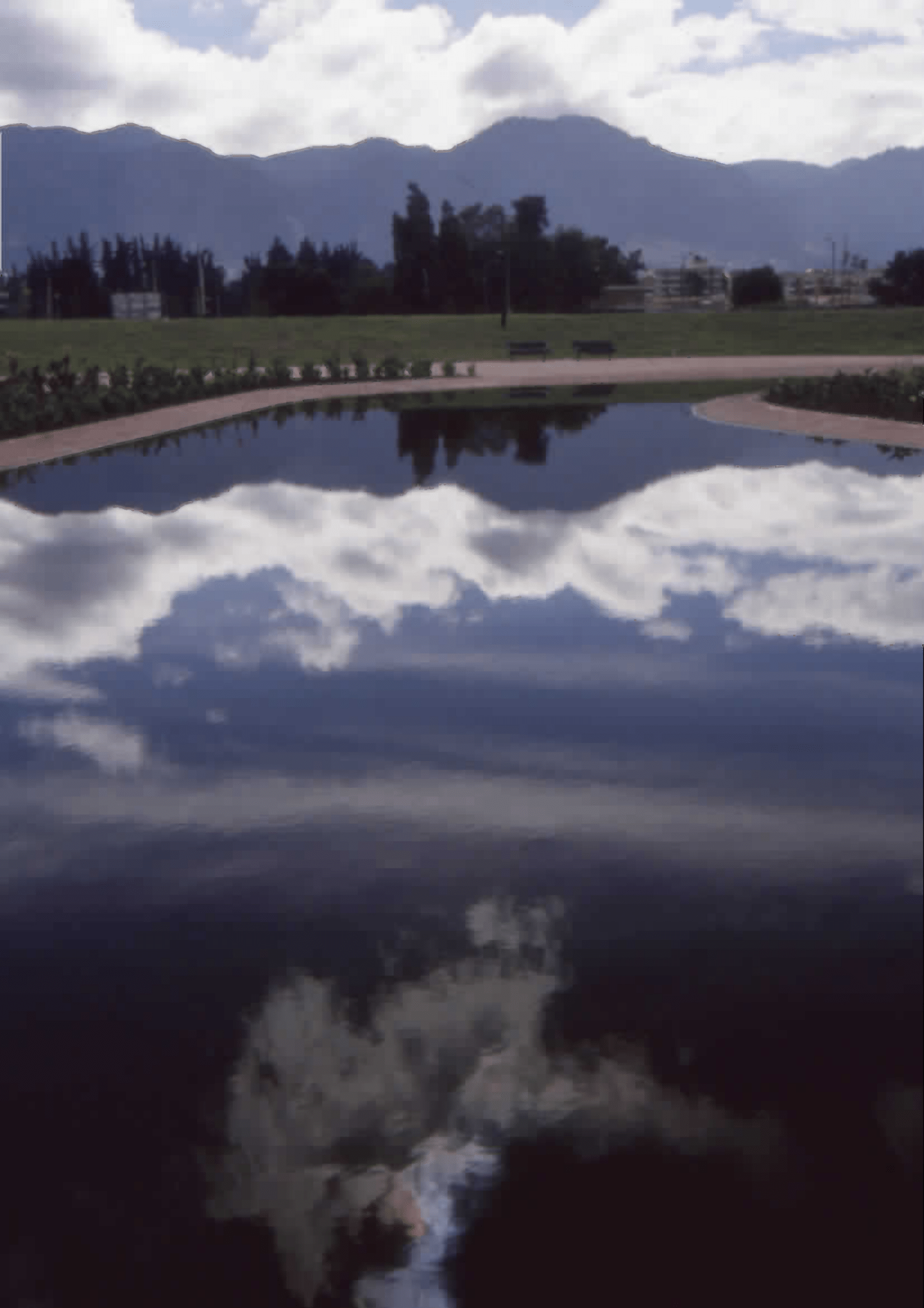 Imagen de apoyo de  Detalle del espejo de agua de la Biblioteca Pública Virgilio Barco. Fotografía 2