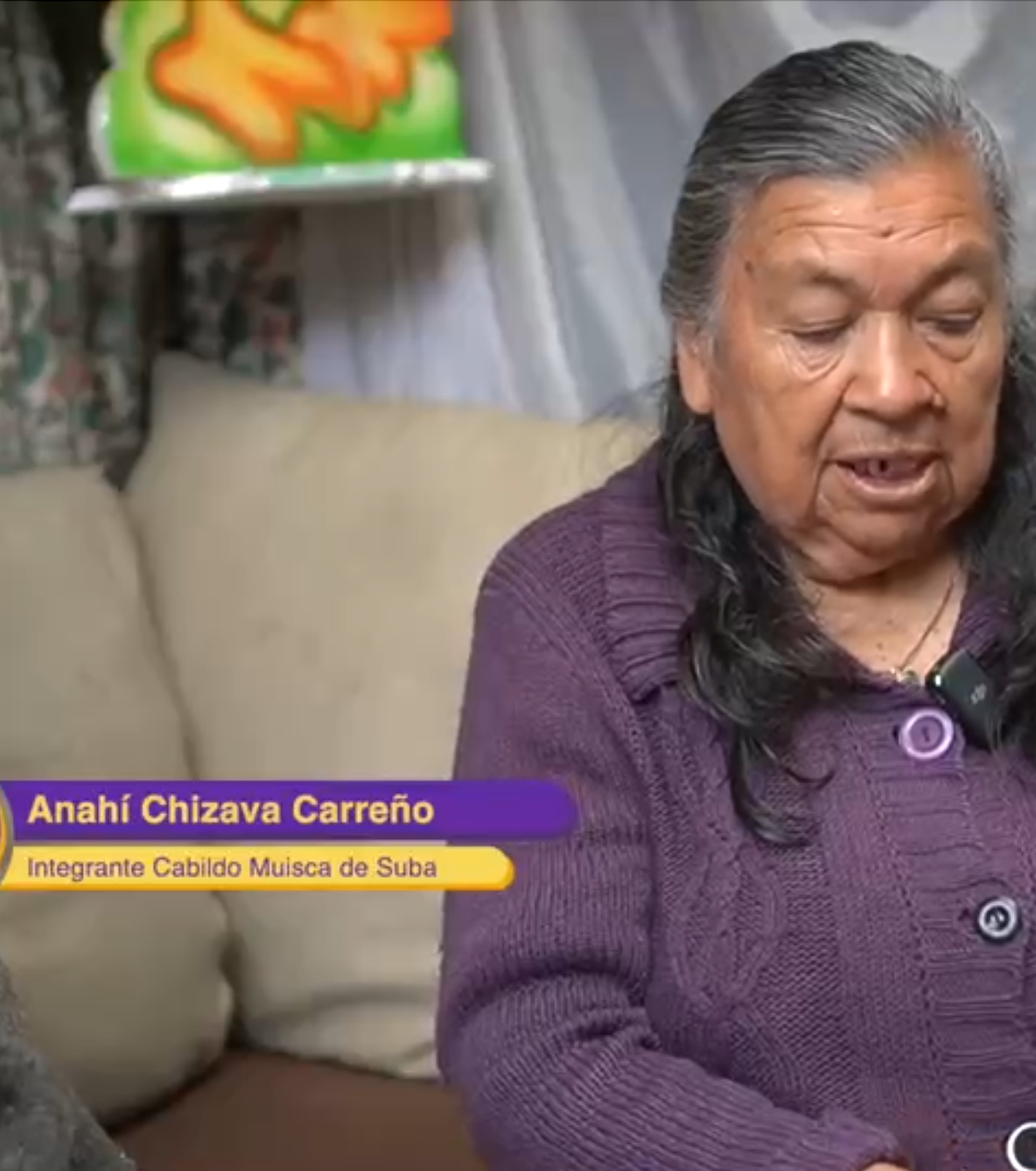 Imagen de apoyo de  Entrevista Anahí Chizava Carreño