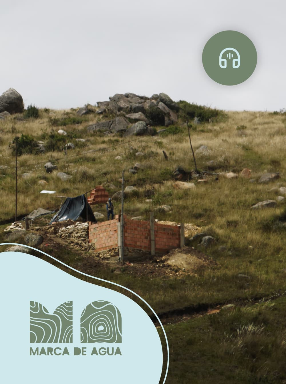 Imagen de apoyo de  Los orígenes del barrio Perdomo