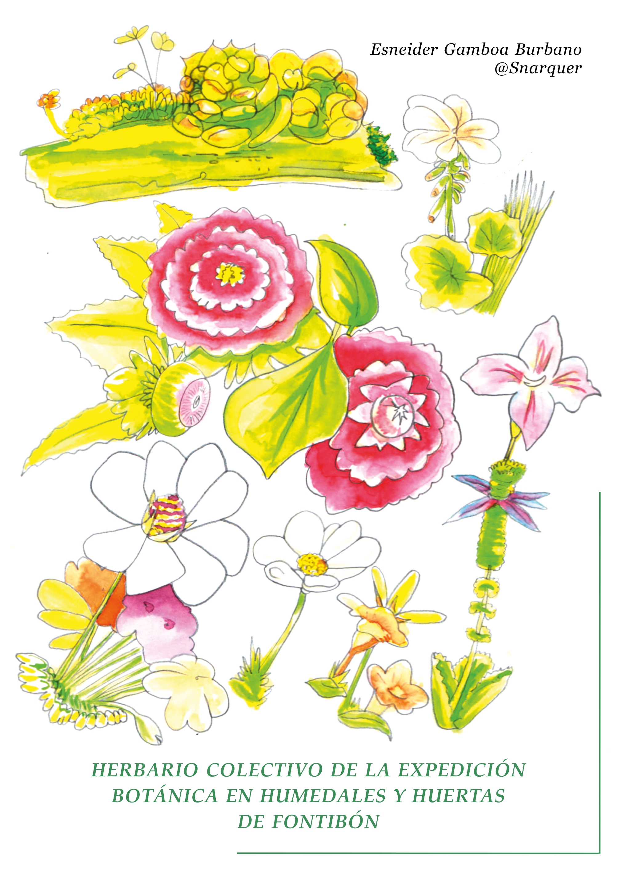 Imagen de apoyo de  Herbario Colectivo de la Expedición Botánica en Humedales y Huertas de Fontibón