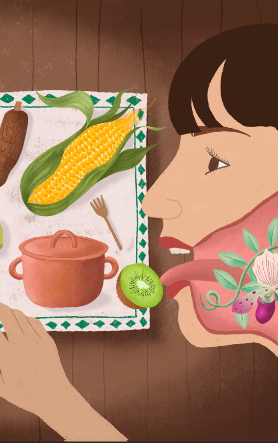 Imagen de apoyo de  Semillas con memoria