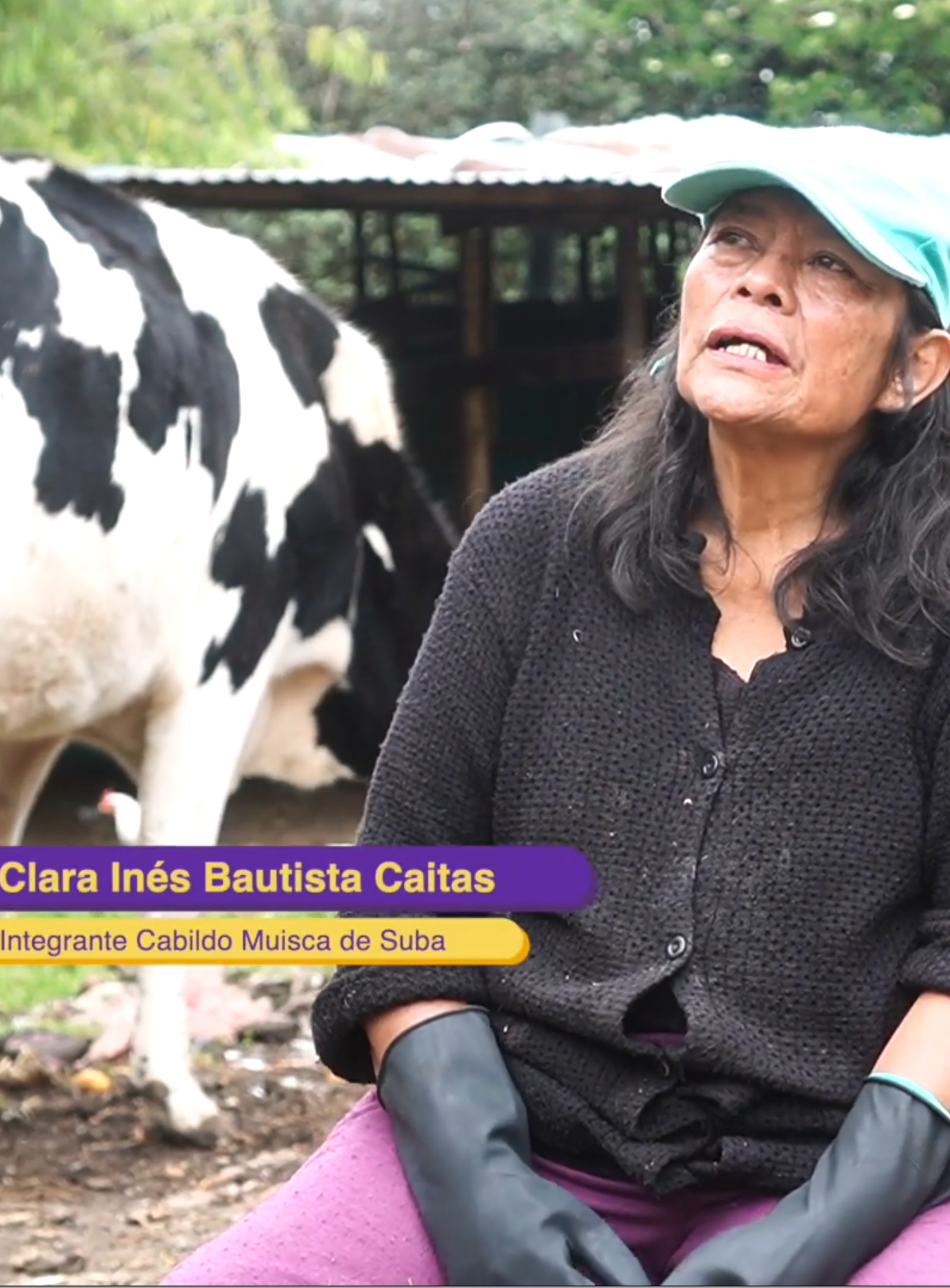 Imagen de apoyo de  Entrevista Clara Inés Bautista Caita