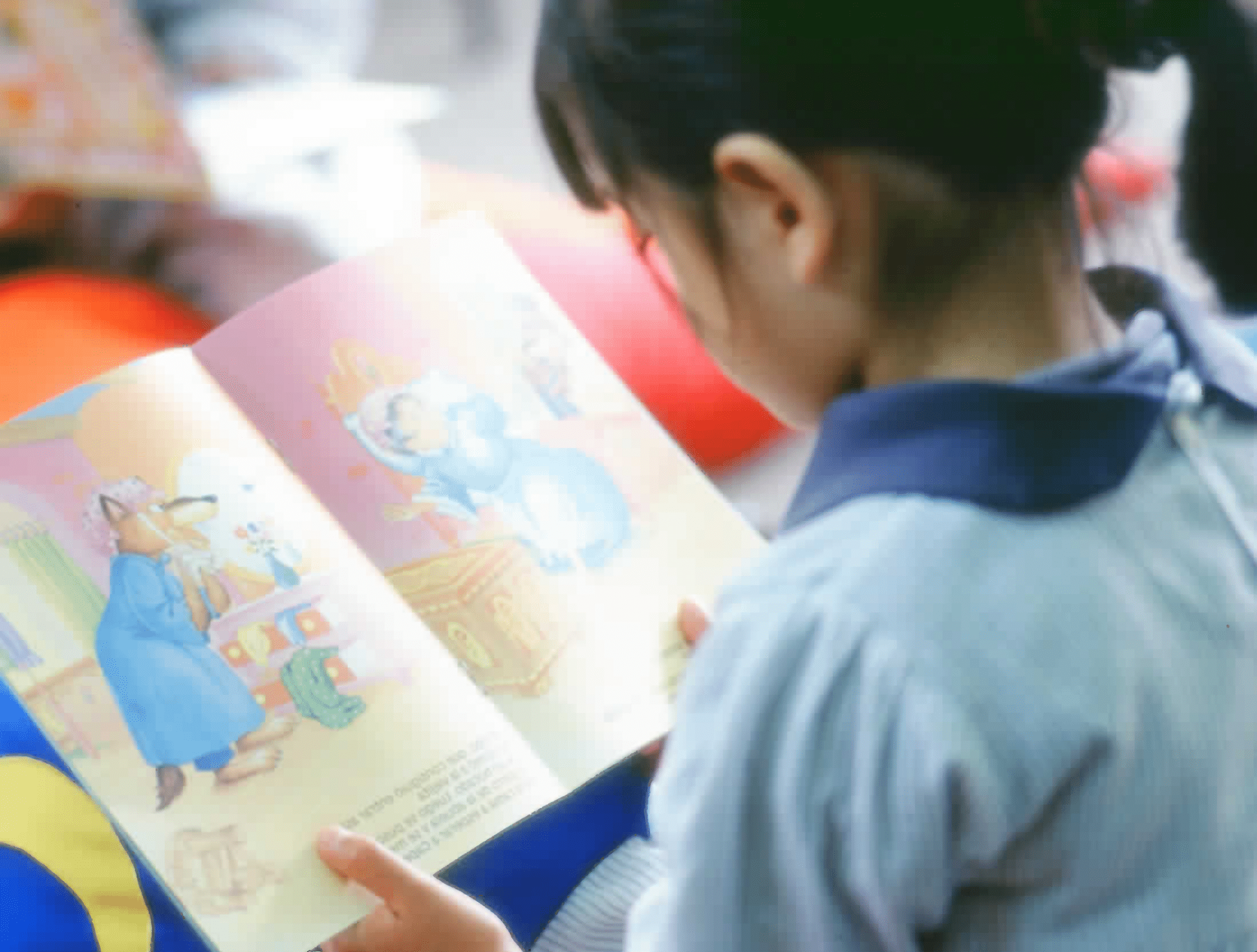 Imagen de apoyo de  Niña leyendo en la biblioteca. Fotografía 2