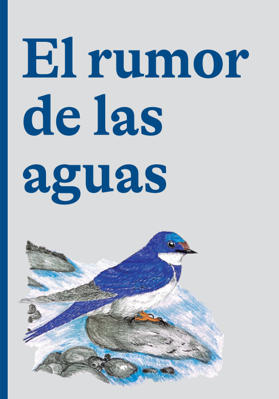 Imagen de apoyo de  El rumor de las aguas