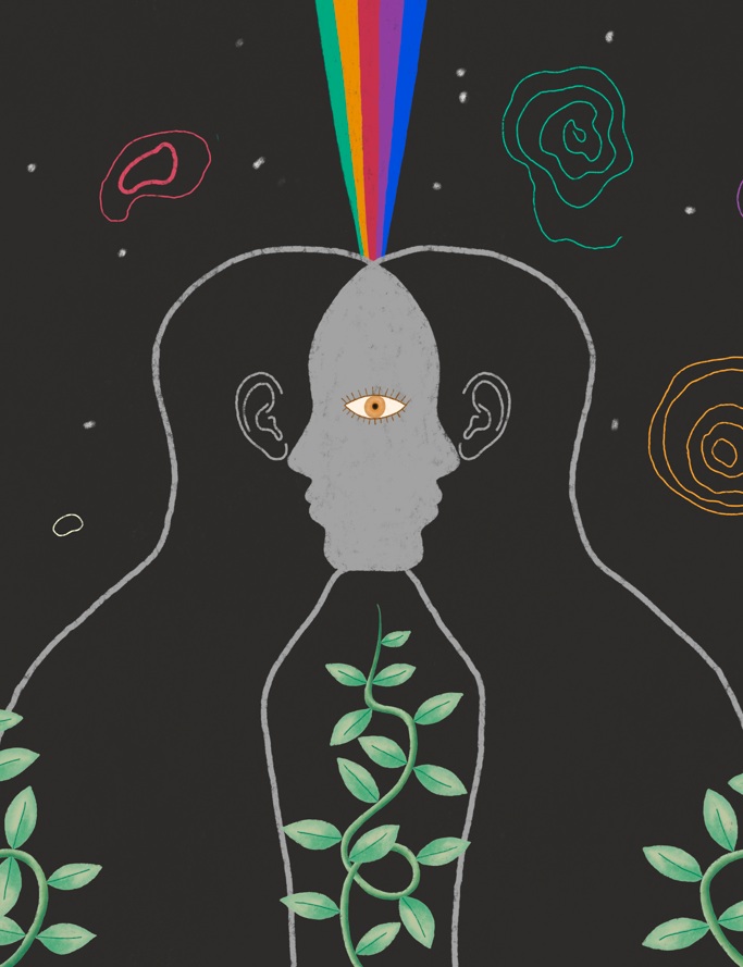 Imagen de apoyo de  Audiograma Huerta Nukak