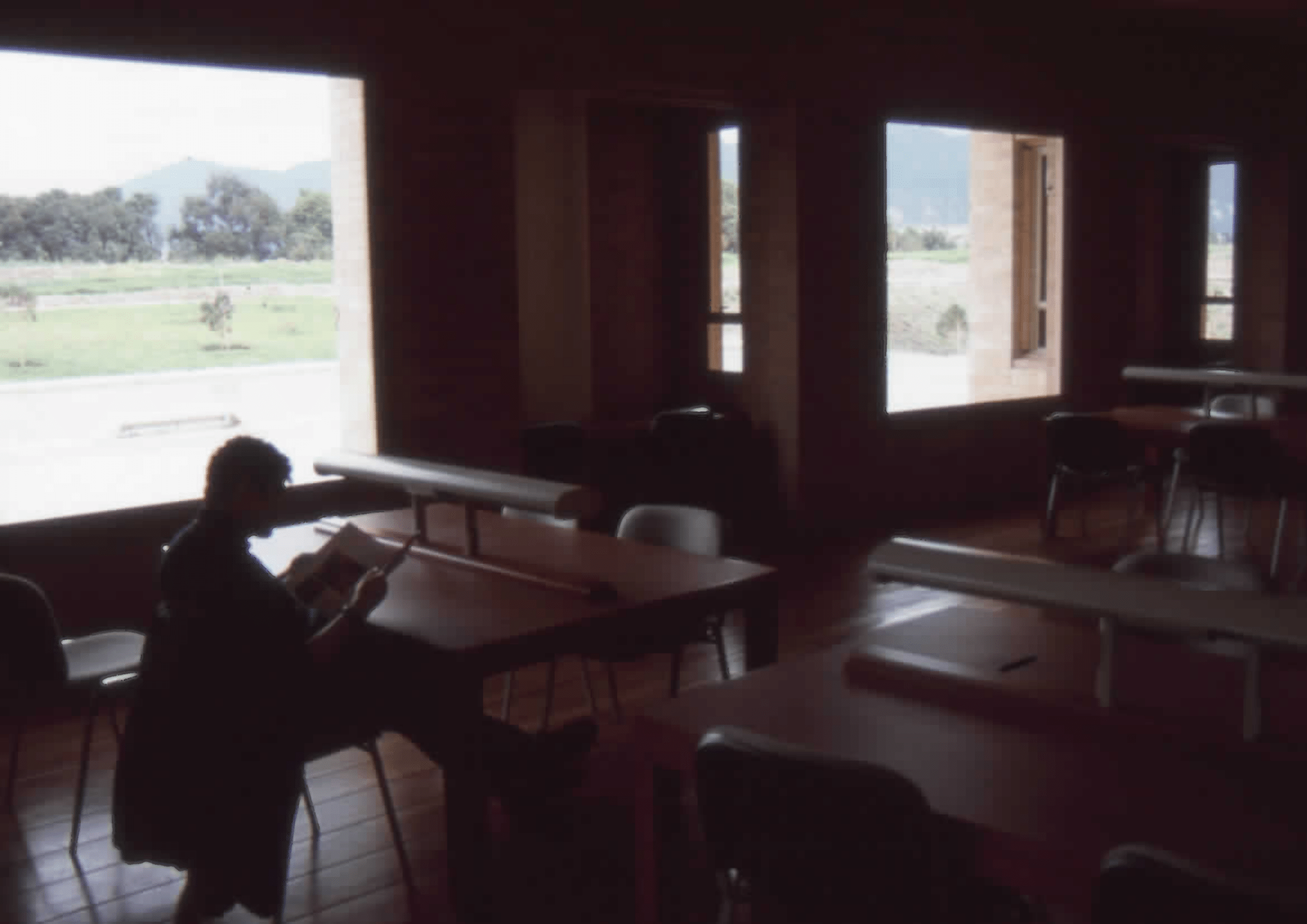Imagen de apoyo de  Usuario leyendo en la Biblioteca Pública Virgilio Barco. Fotografía 2